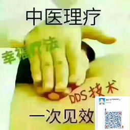 中醫(yī)養(yǎng)生保健服務 傳統(tǒng)智慧與現(xiàn)代生活的優(yōu)雅融合